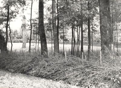 Drenje Šćitarjevsko - Ograda