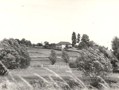 Nespeš - Kurija Švarcovina, situacija