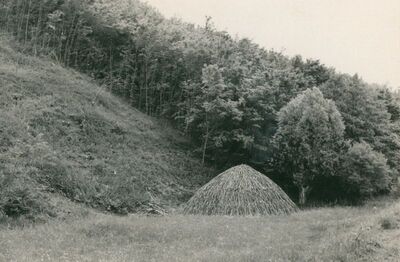 Stupe - Slaganje kope