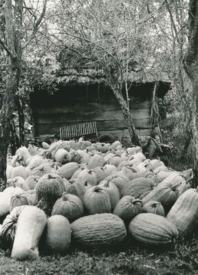 Grdun (Ozalj) - Gospodarska zgrada