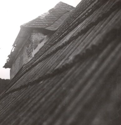 Slavetić - Dvorac Oršić, detalj krova