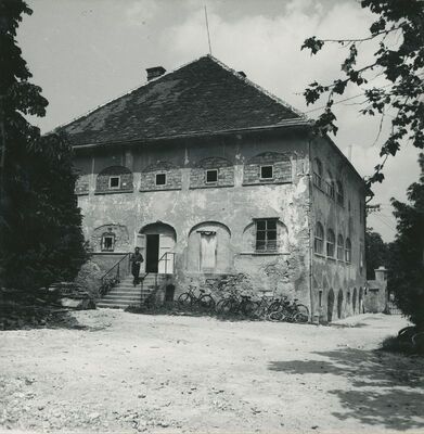 Vinica - dvor, total