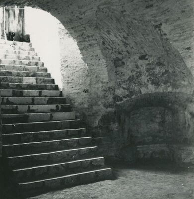 Trakošćan - dvor, podrumska prostorija, stepenište