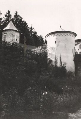 Bosiljevo - Stari grad, kule