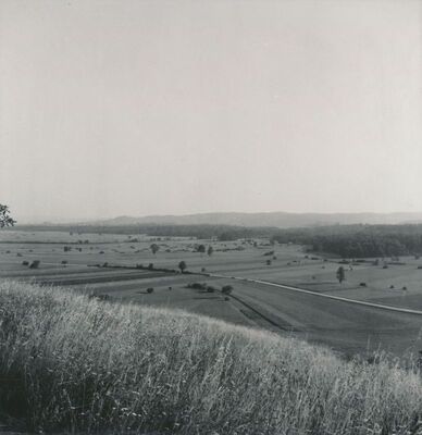 Zorkovac (Ozalj) - Dvor, okolica