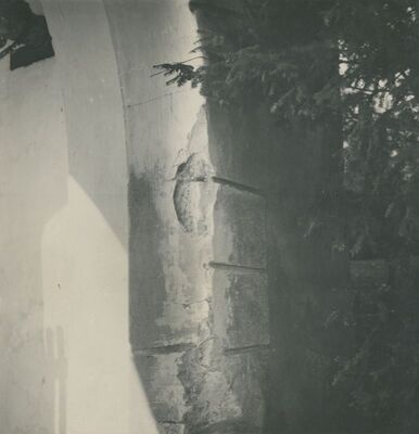 Trakošćan - vanjski ulazni portal, detalj