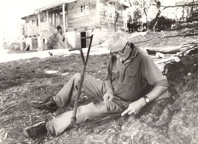 Sječevac - Oštrenje kose