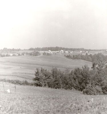 Lijevi Štefanki - Panorama