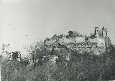 Vinica Breg (Vinica) - ruševine srednjovjekovnog grada