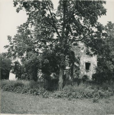 Bisag - ostatci dvora