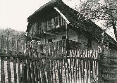 Griče (Ribnik) - Tradicijska kuća, zabatno pročelje