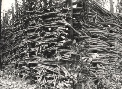 Drenje Šćitarjevsko - Ograda, detalj