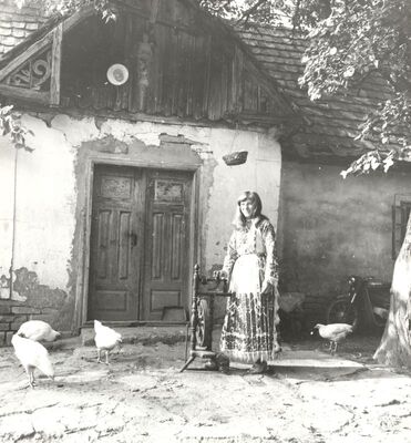 Veleševec - Narodna nošnja