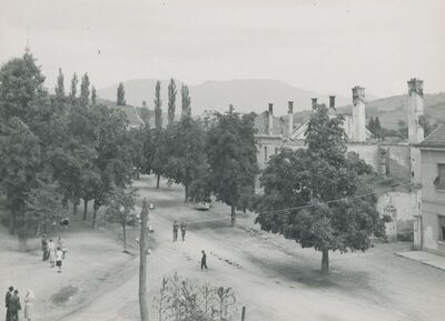 Zlatar - Veduta