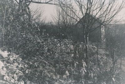 Tounj - Stari grad, detalj