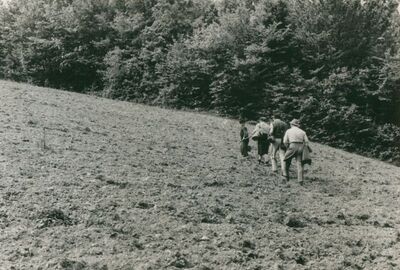 Stupe - Konzervatori na terenu