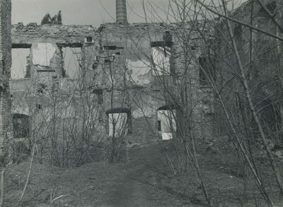 Dvorac Oroslavje Gornje (Oroslavje), unutrašnjost, ruševina
