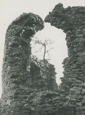 Grtovec (Budinščina) - Stari grad Milengrad, detalj