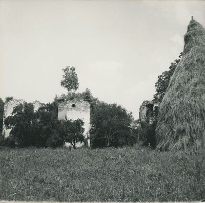 Bisag - ruševine dvora, vegetacija