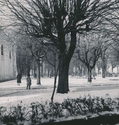 Ogulin - Gradski park