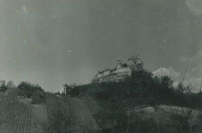 Vinica Breg (Vinica) - ruševine srednjovjekovnog grada