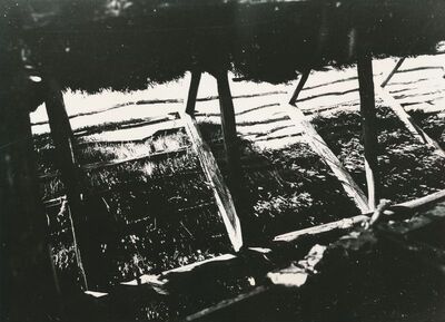 Zaluka Lipnička (Žakanje) - Tradicijska kuća, detalj krova