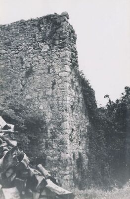 Ogulin - Stari grad, detalj