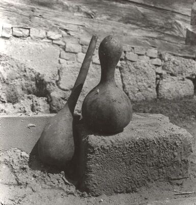 Bukovčak - Posude od tikve