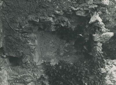 Grtovec (Budinščina) - Stari grad Milengrad, detalj