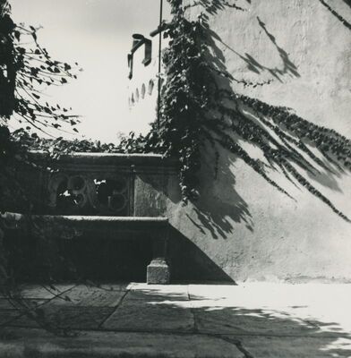 Trakošćan - oranžerija, ugao sa neogotičkom balustradom