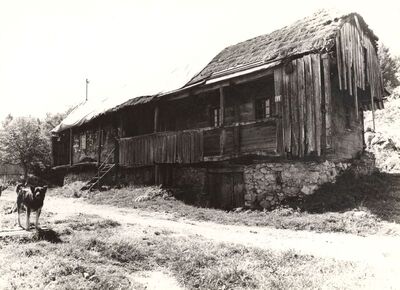 Sječevac - Tradicijska kuća, dvorišno pročlje