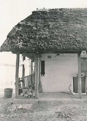 Jarnevići (Ribnik) - Tradicijska kuća, detalj pročelja