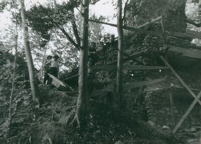 Zelingrad - Stari grad Zelingrad, sjeveroistočni zid