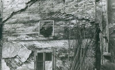 Vukovina - Kurija Alapić, detalj sjevernog pročelja