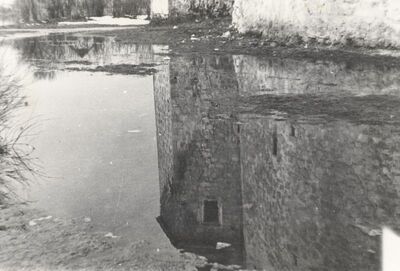 Ribnik - Stari grad, odraz zapadne kule