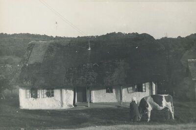 Desinić - Brvnara, vanjština