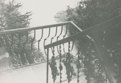 Trakošćan - dvorac, pročelje, ograda vanjskog stubišta