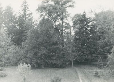 Martijanec - dvor, park