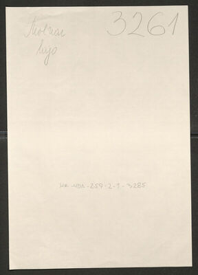 Molnar, Mijo, 7.5.1874. Policijski karton