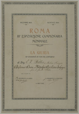 Il diploma d'onore con medaglia d'oro e croce insigne per il fluido 