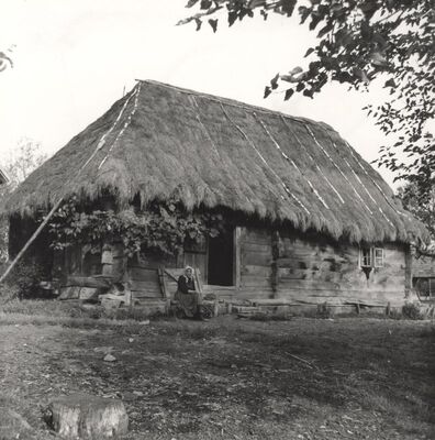 Donji Hruševec - Tradicijska kuća, ulazno pročelje