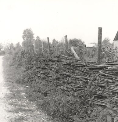 Drenje Šćitarjevsko - Ograda