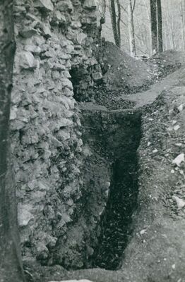 Zelingrad - Stari grad Zelingrad, sonda uz stambenu kulu