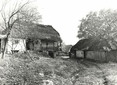 Martinski Vrh (Ribnik) - Tradicijska kuća i gospodarska zgrada