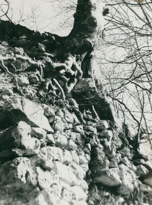 Zelingrad - Stari grad Zelingrad, sjeverni obrambeni zid