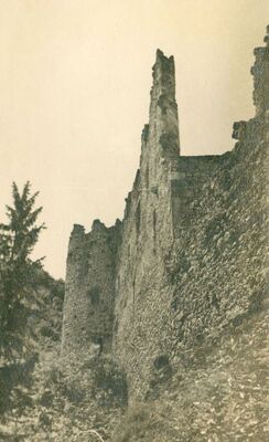 Samobor - Stari grad, detalj