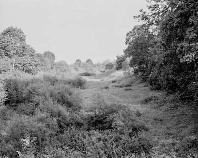 Latvia, 2014 / Collaborating With The So Called Real World