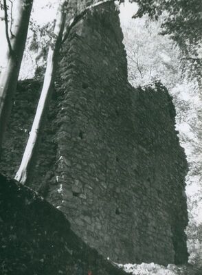 Zelingrad - Stari grad Zelingrad, sjeveroistočni zid