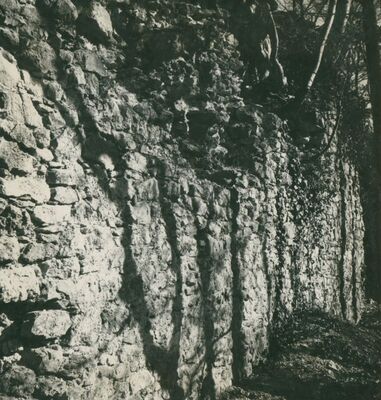 Zelingrad - Stari grad Zelingrad, južne obrambene zidine