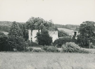 Bisag - dvor, ruševine